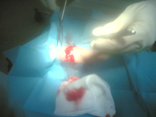 corvintaurus_krankenwagen_hand