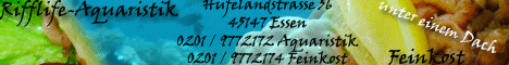 corvintaurus banneranfertigungen bild20