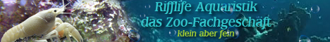 corvintaurus banneranfertigungen bild21