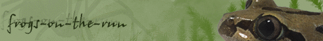 corvintaurus banneranfertigungen bild5
