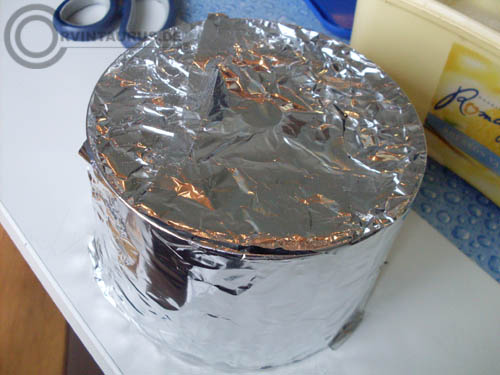 corvintaurus_ringkern_trafohaube_1