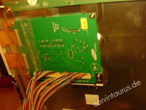 corvintaurus_Bild12