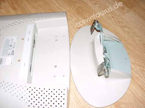 corvintaurus_Bild5