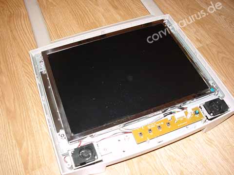 corvintaurus_Bild7
