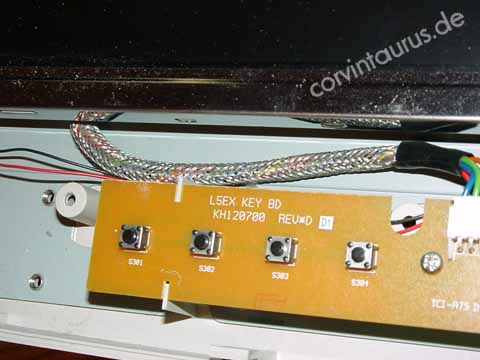 corvintaurus_Bild9