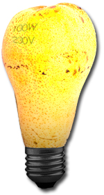 strahlenschutz_corvintaurus