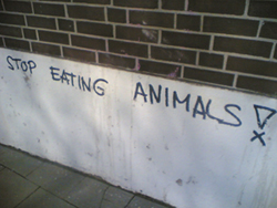 stopeatinganimals