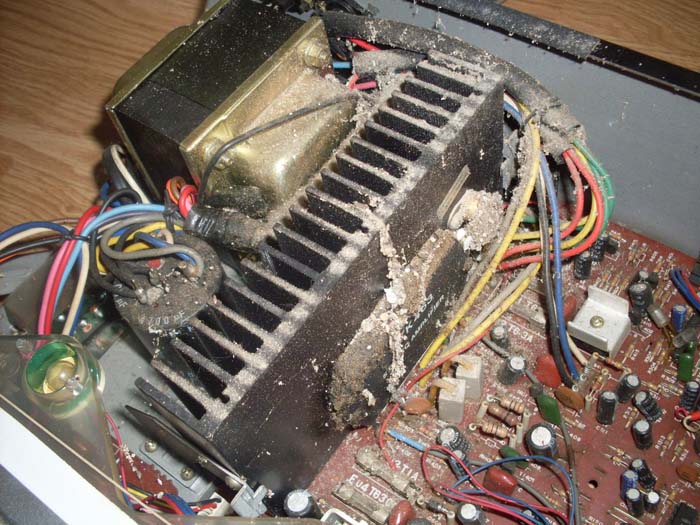corvintaurus_telefunken_rr_100_rei_6