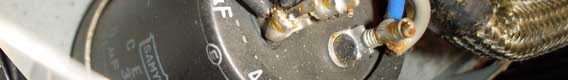 corvintaurus_telefunken_rr_100_elko_banner